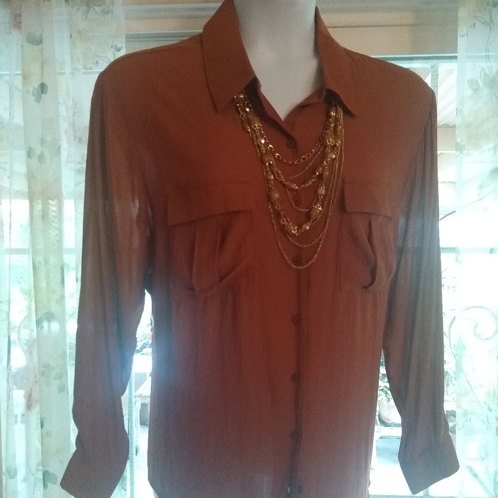 Pleione gorgeous sheer blouse..brand vew